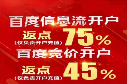 竞价托管实战案例：优化广告投放策略